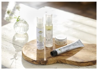 ヴィラロドラ（オーガニックカラー）